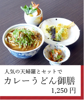 カレーうどん御膳
