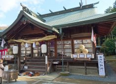 安仁神社・茅の輪くぐり